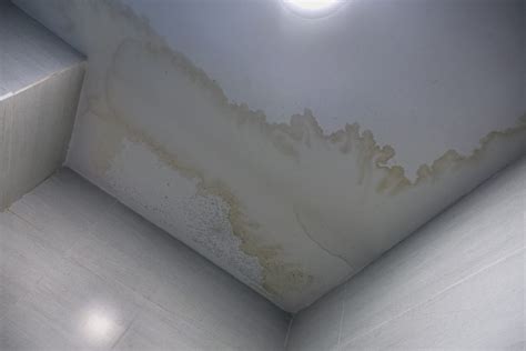 Ceiling Damp Patches: Common Causes and。